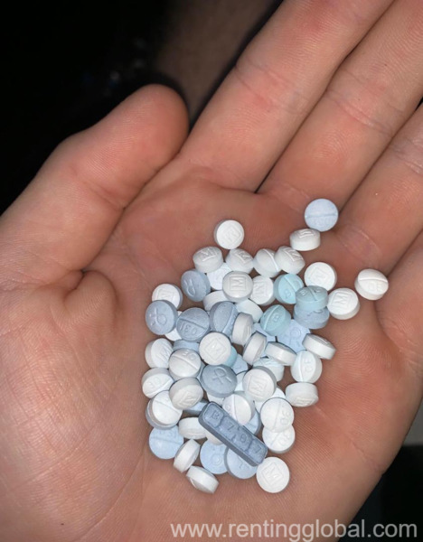 www.rentingglobal.com, renting, global, Milton Ave, Dallas, TX 75205, USA,  Rohypnol pills, Flunitrazepam 1mg and 2mg Roche, Roxicodone, Oxycontin, Xanax, Dilaudid, Adderall