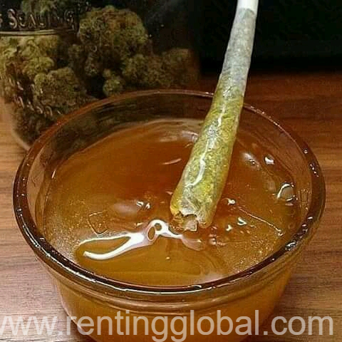 www.rentingglobal.com, renting, global, California, USA, 420medicalkush.com, medical marijuana for stoners and health care