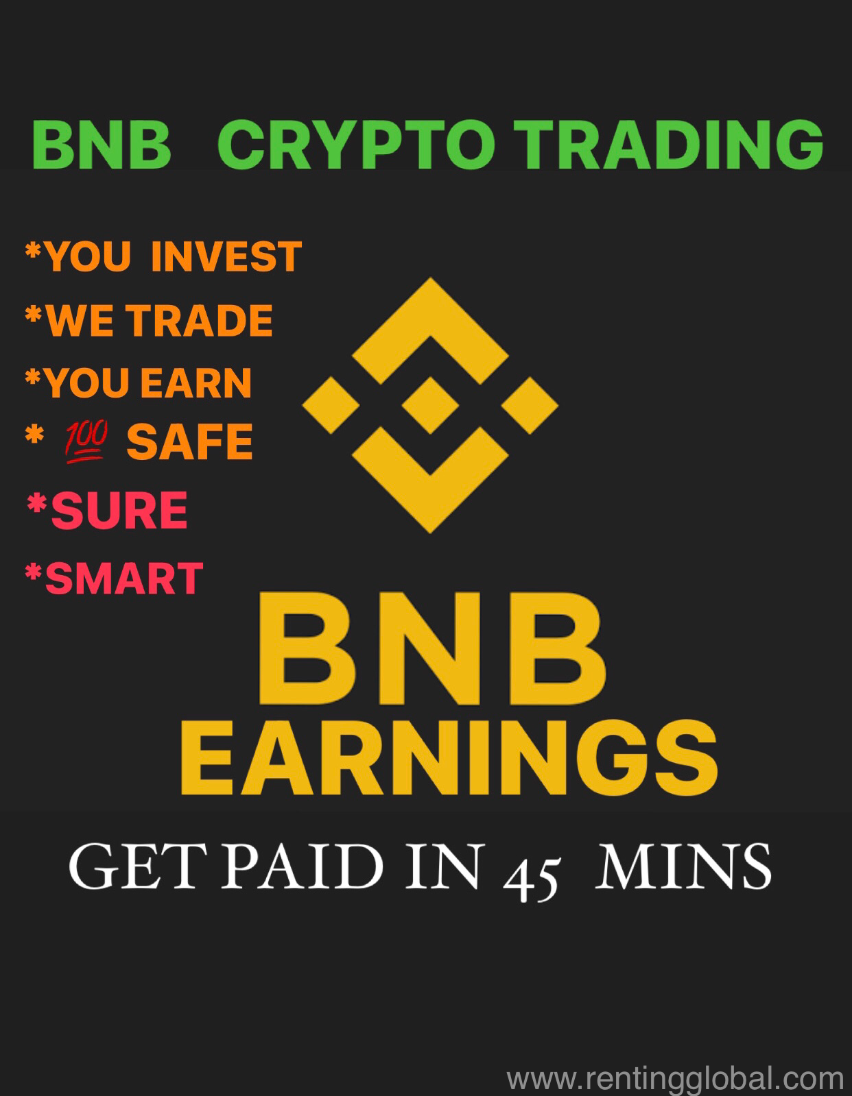 www.rentingglobal.com, renting, global, Indianapolis, IN, USA, invest and earn in 45 minutes,earning is certain,tested and trusted,100% safe., BNB TRADING INVESTMENT 