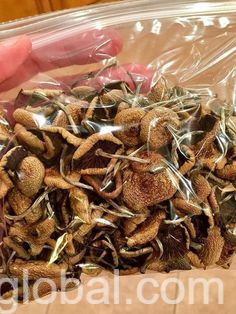 www.rentingglobal.com, renting, global, Denver, CO, USA, magic-shrooms,fungi,fungus,depression,anxiety,relaxation,spirituality,micro-dosing,high,smoke,clouds,mushroom-spores,cubensis-spores,spores,psilocybe cubensis,psychedelic,bongs, magic mushrooms help with depression,anxiety,heart issues,brian development,tripping,micro-dosing,extrem imaginations
