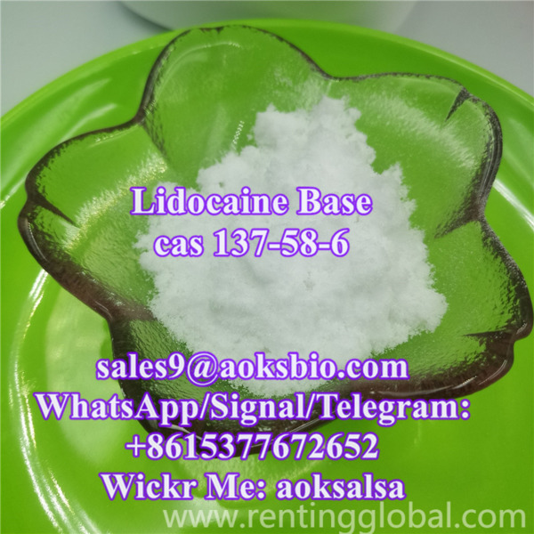 www.rentingglobal.com, renting, global, New York, NY, USA, lidocaine,lidocaine base,lidocaine powder,lidocaine supplier,lidocaine price,lidocaine china, Lidocaine powder China supplier with best price,lidocaine supplier,lidocaine price 100% pass customs