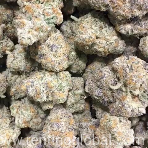 www.rentingglobal.com, renting, global, LoDo, Denver, CO 80202, USA, Medical marijuana