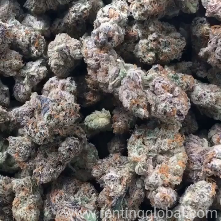 www.rentingglobal.com, renting, global, Niagara Falls, NY, USA, Medical marijuana