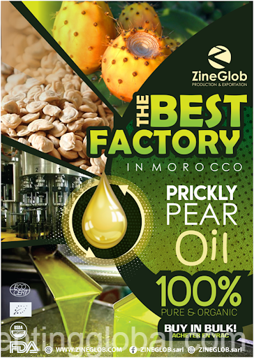 www.rentingglobal.com, renting, global, Agadir 80000, Morocco, ZINEGLOB: PRICKLY PEAR OIL WHOLESALER AND EXPORTER