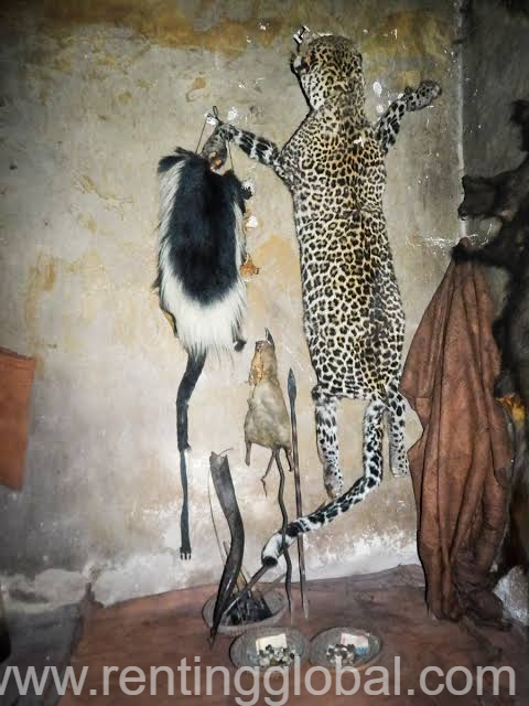www.rentingglobal.com, renting, global, Johannesburg, South Africa, Africa Spiritual Witchcraft +27672740459 Voodoo Spell/Effective Bring Back Lost Love Spell Caster.