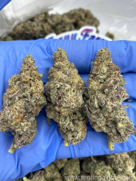 www.rentingglobal.com, renting, global, United Kingdom, buy weed online uk,buy cannabis online uk,health benefits of cannabis, Buy weed online uk