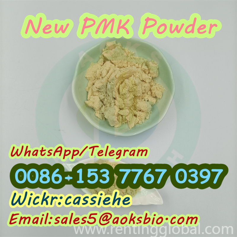 www.rentingglobal.com, renting, global, Vancouver, BC, Canada, pmk,pmk powder,pmk oil,new pmk,28578-16-7, NEW pmk powder Cas28578-16-7 new PMK 