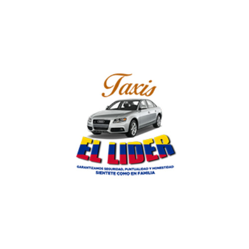 www.rentingglobal.com, renting, global, Salt Lake City, UT 84107, USA, transport service, private trips, family trips, tourist places, trips to airport, home to work., Taxis El líder