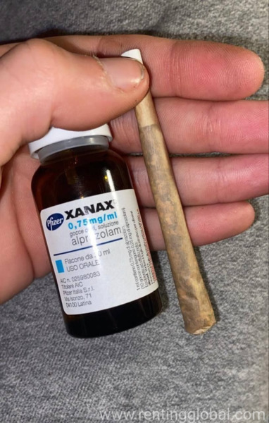 www.rentingglobal.com, renting, global, 7880 McClellan Rd, Cupertino, CA 95014, USA, buy xanax 2 mg,buy tramadol 50 mg,buy diazepam tablets 10 mg,buy methadone 40 mg,buy subutex 8 mg,buy ritalin 20 mg, Buy Xanax 2 mg  online without prescription 