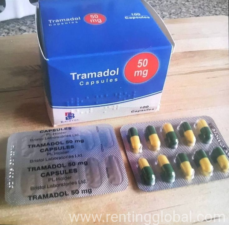 www.rentingglobal.com, renting, global, 7880 McClellan Rd, Cupertino, CA 95014, USA, buy tramadol 50 mg,buy duromine 40 mg,buy mdma 50 mg,buy opana 40 mg, Buy Tramadol 50 mg online without prescription 