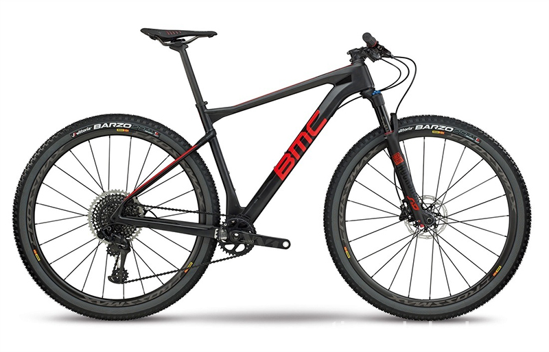 www.rentingglobal.com, renting, global, Medan, Medan City, North Sumatra, Indonesia, mountain bike, 2019 BMC Teamelite 01 ONE Mountain Bike