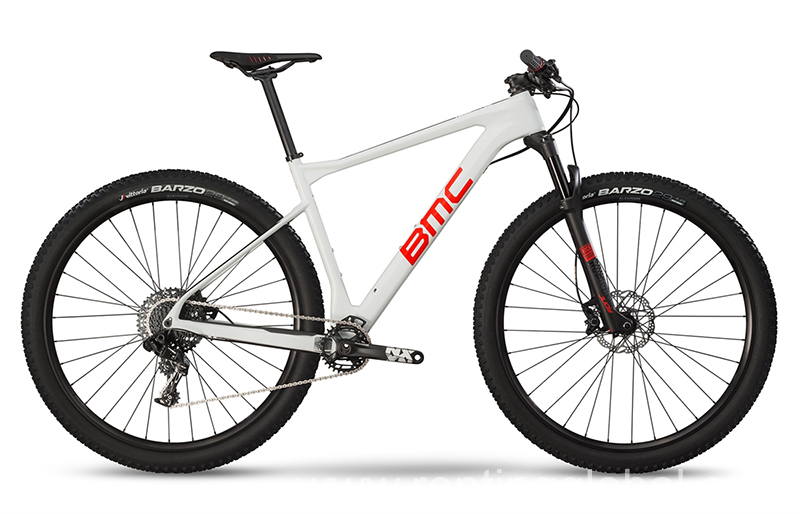 www.rentingglobal.com, renting, global, Medan, Medan City, North Sumatra, Indonesia, mountain bike, 2019 BMC Teamelite 02 THREE Mountain Bike