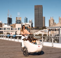 Cargo Bike Rental