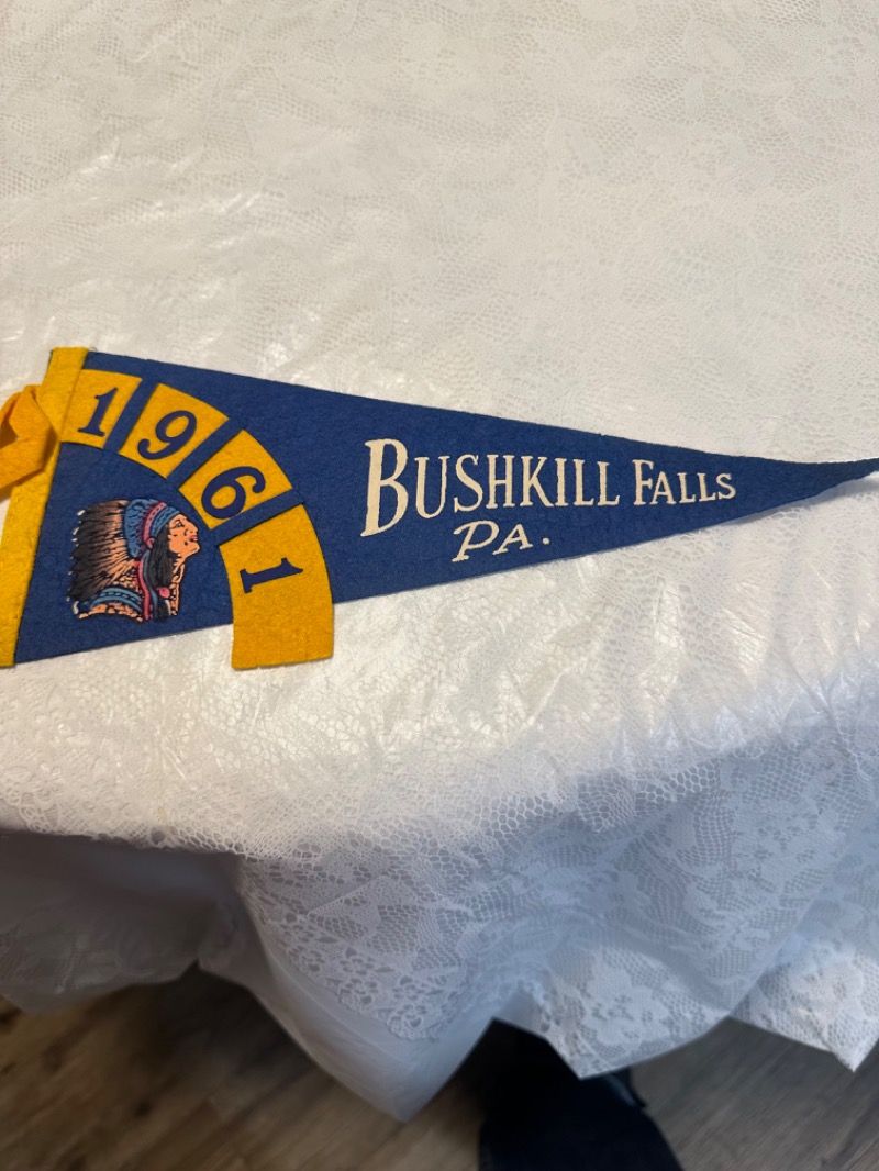 Vintage 1961 Bushkill Falls PA Pennant