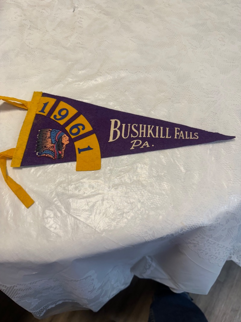 Vintage 1961 Bushkill Falls PA Collectible Pennant