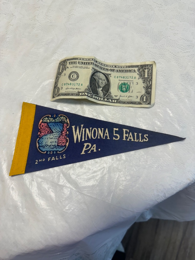 Vintage Winona 5 Falls Pennant