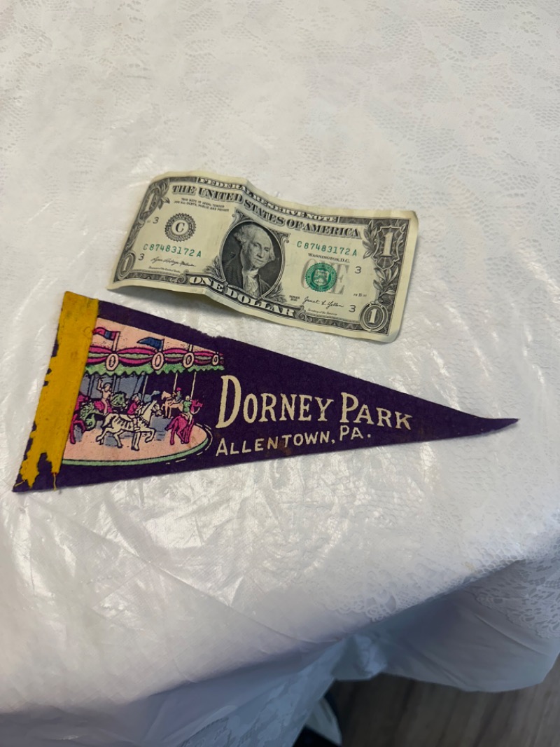 Vintage Dorney Park Pennant