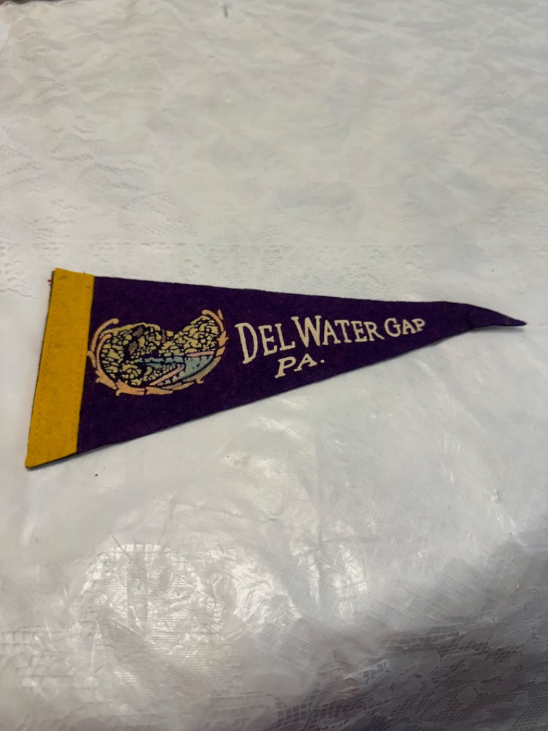 Vintage Delaware Water Gap Souvenir Pennant