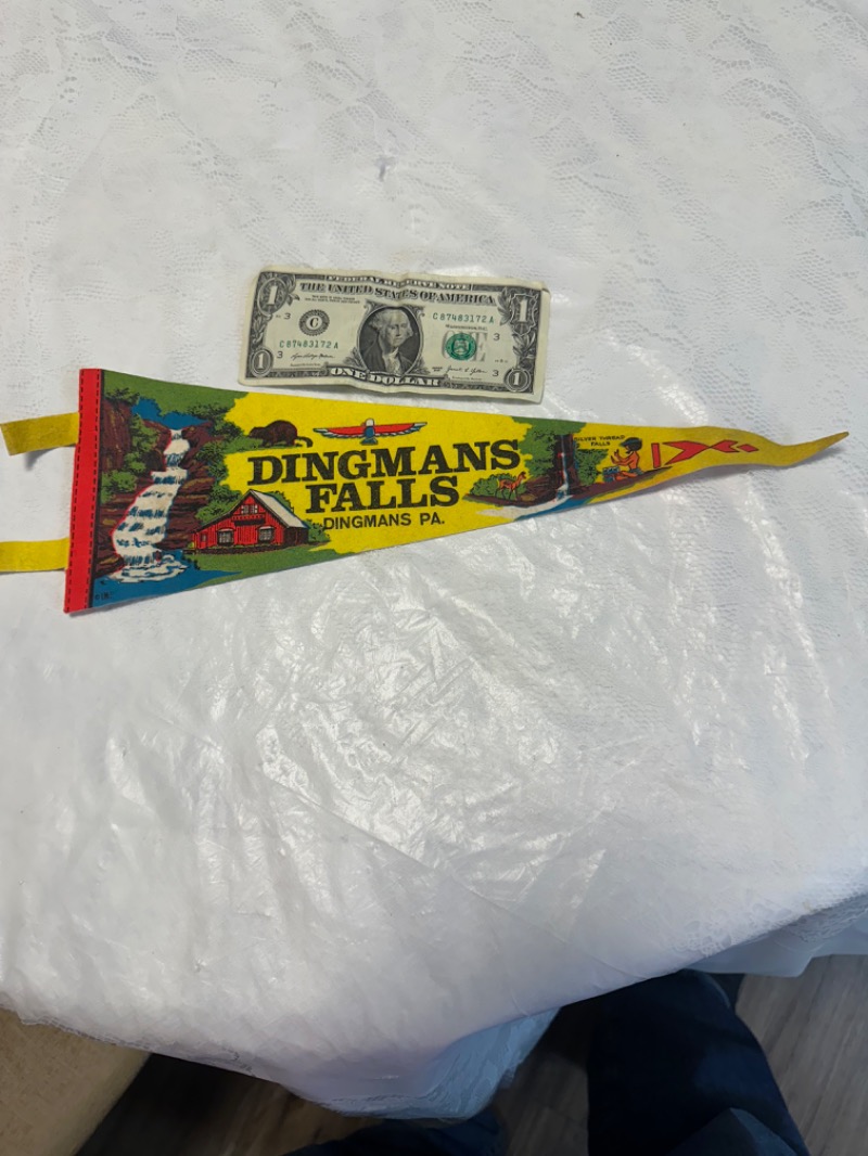 Vintage Dingmans Falls Pennant