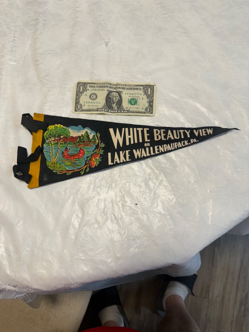 Vintage Lake Wallenpaupack Souvenir Pennant