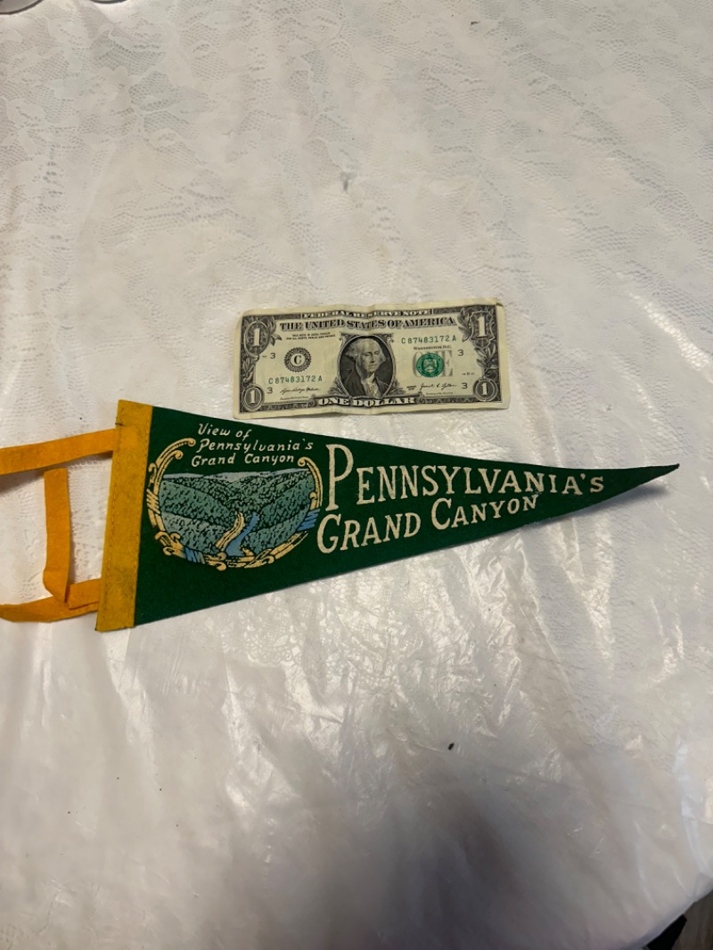 Vintage “PENNSYLVANIA’S GRAND CANYON” Souvenir Pennant