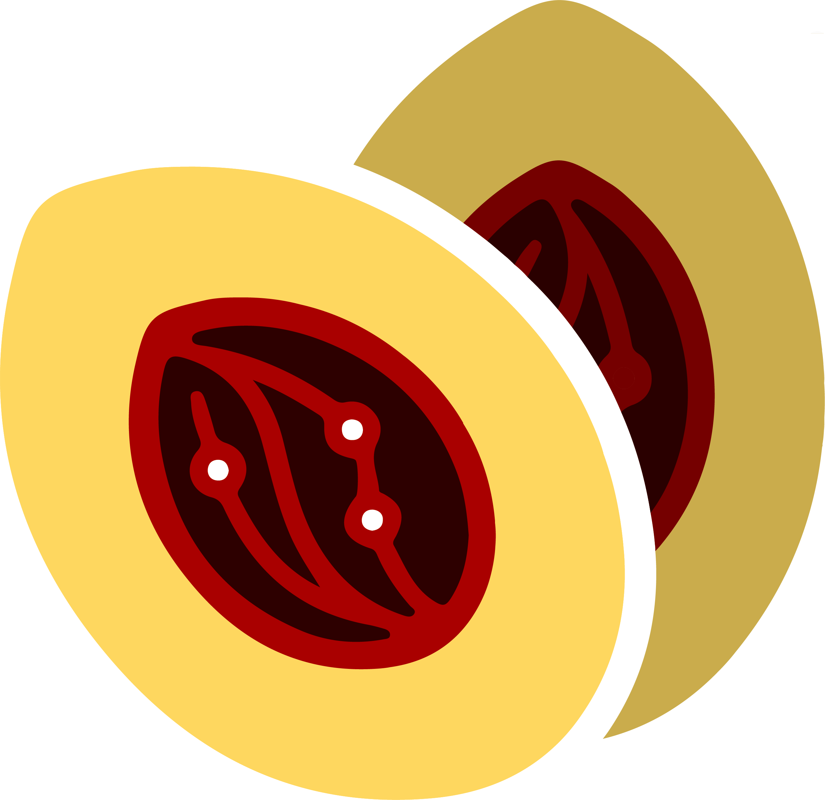 Spice Solutions Logo