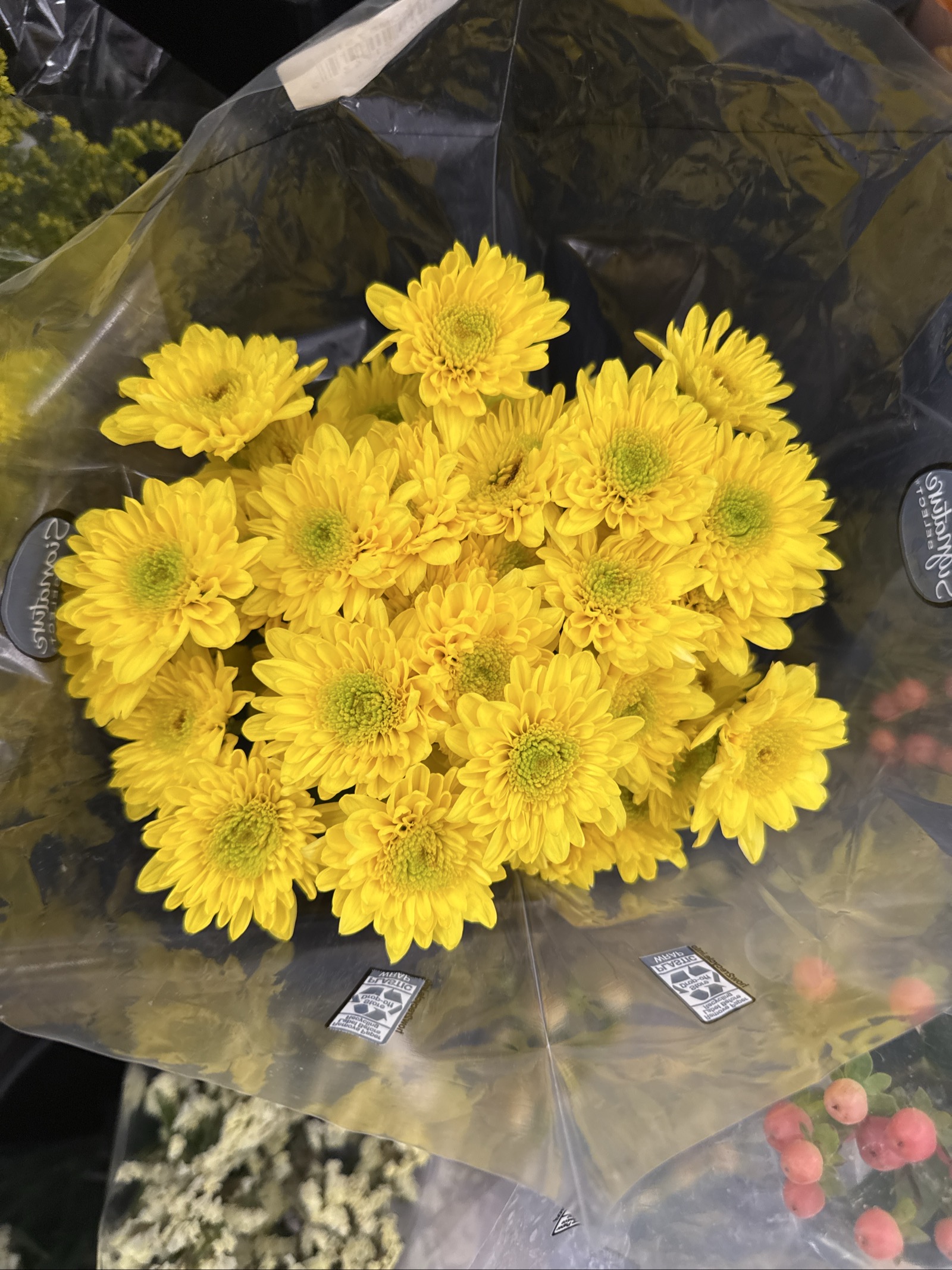 Bouquet of Yellow Chrysanthemums