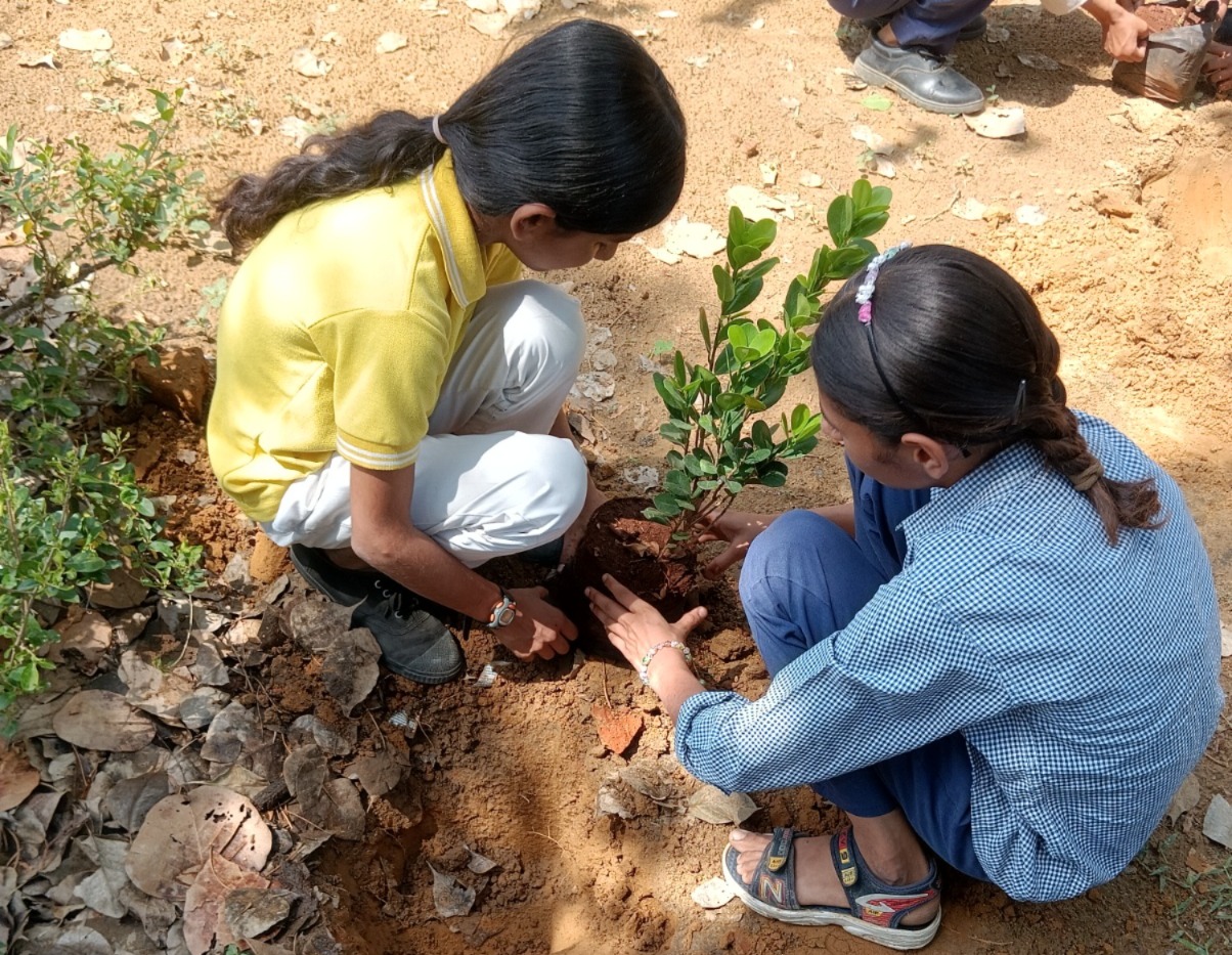 Community environmental engagement