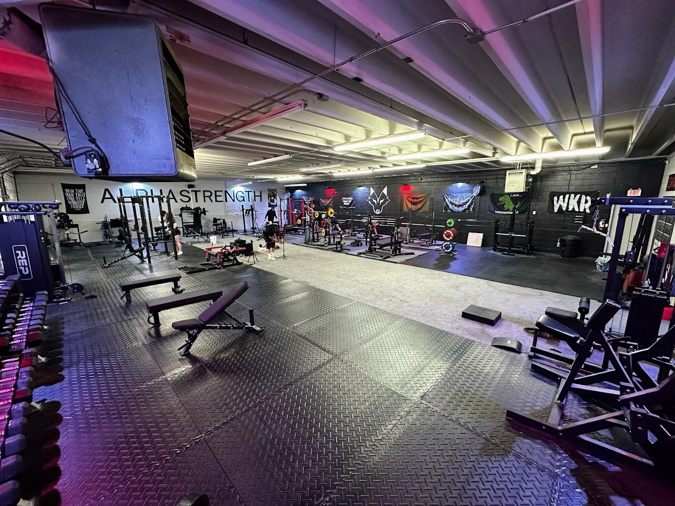 AlphaStrength GYM
