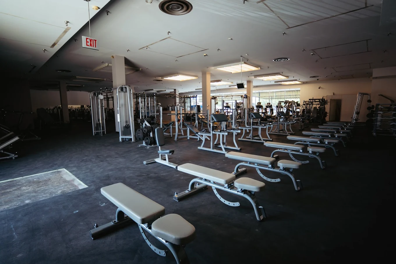 Immortals Gymnasium