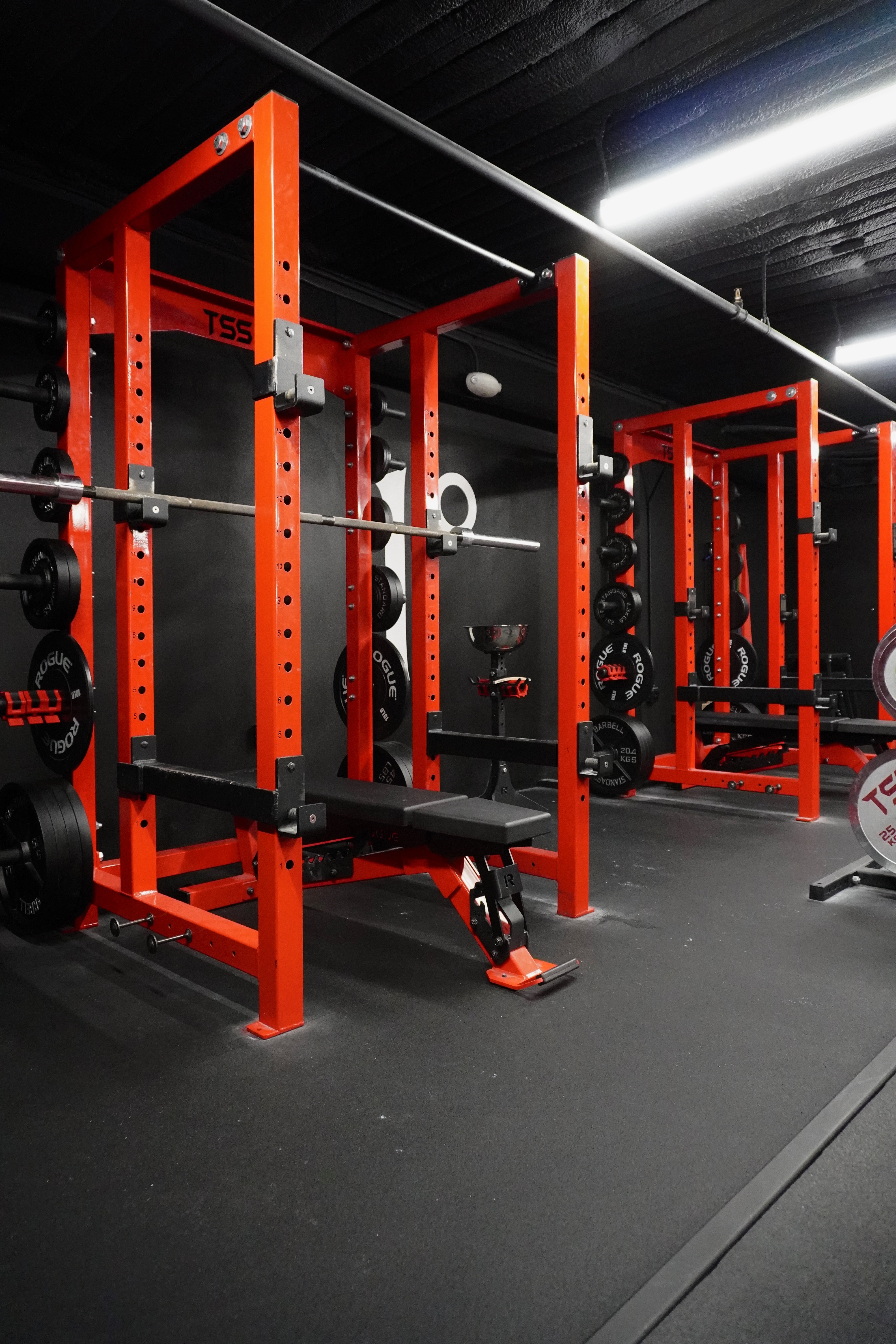 Red's Fitness and Performance