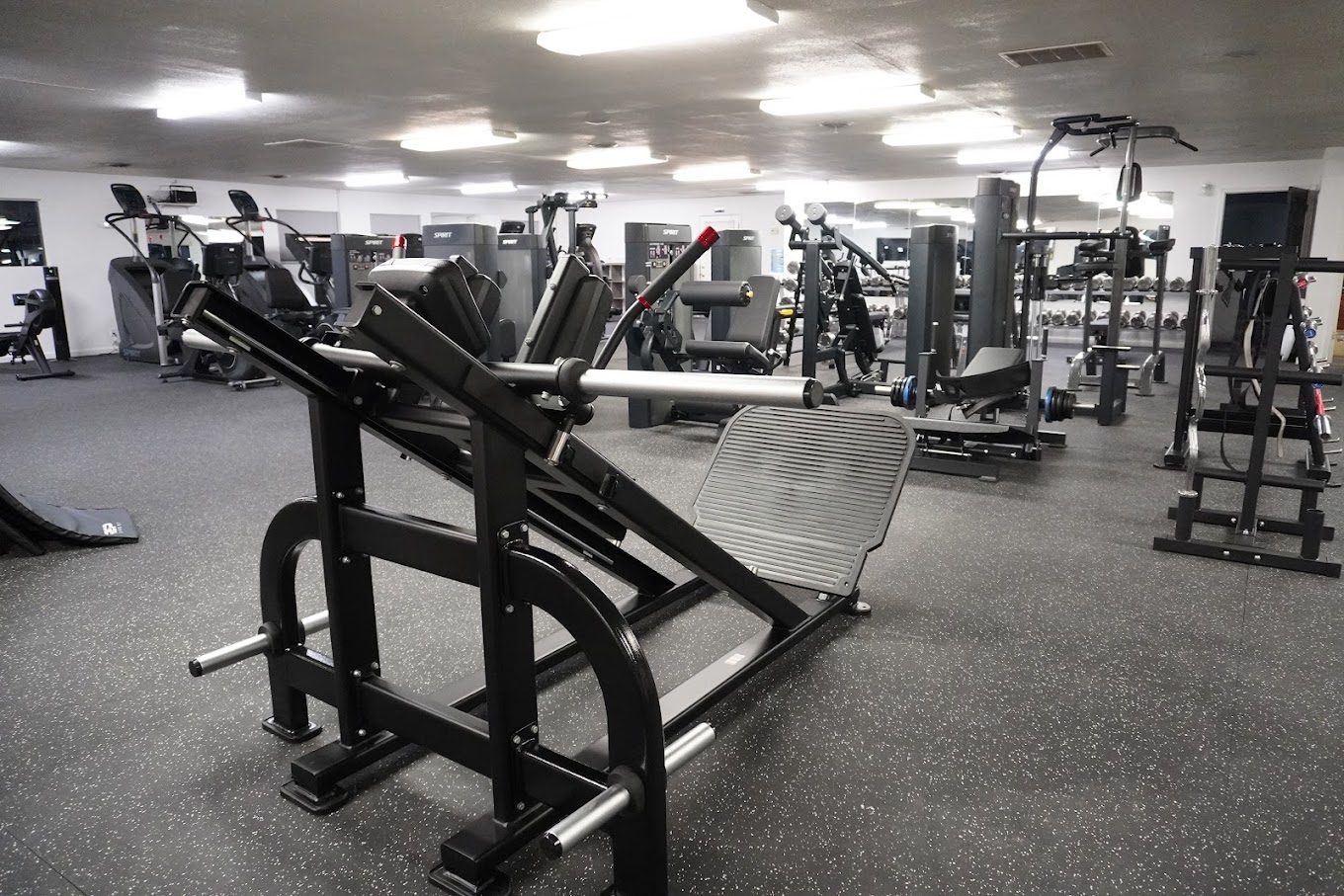Primal Rose Fitness