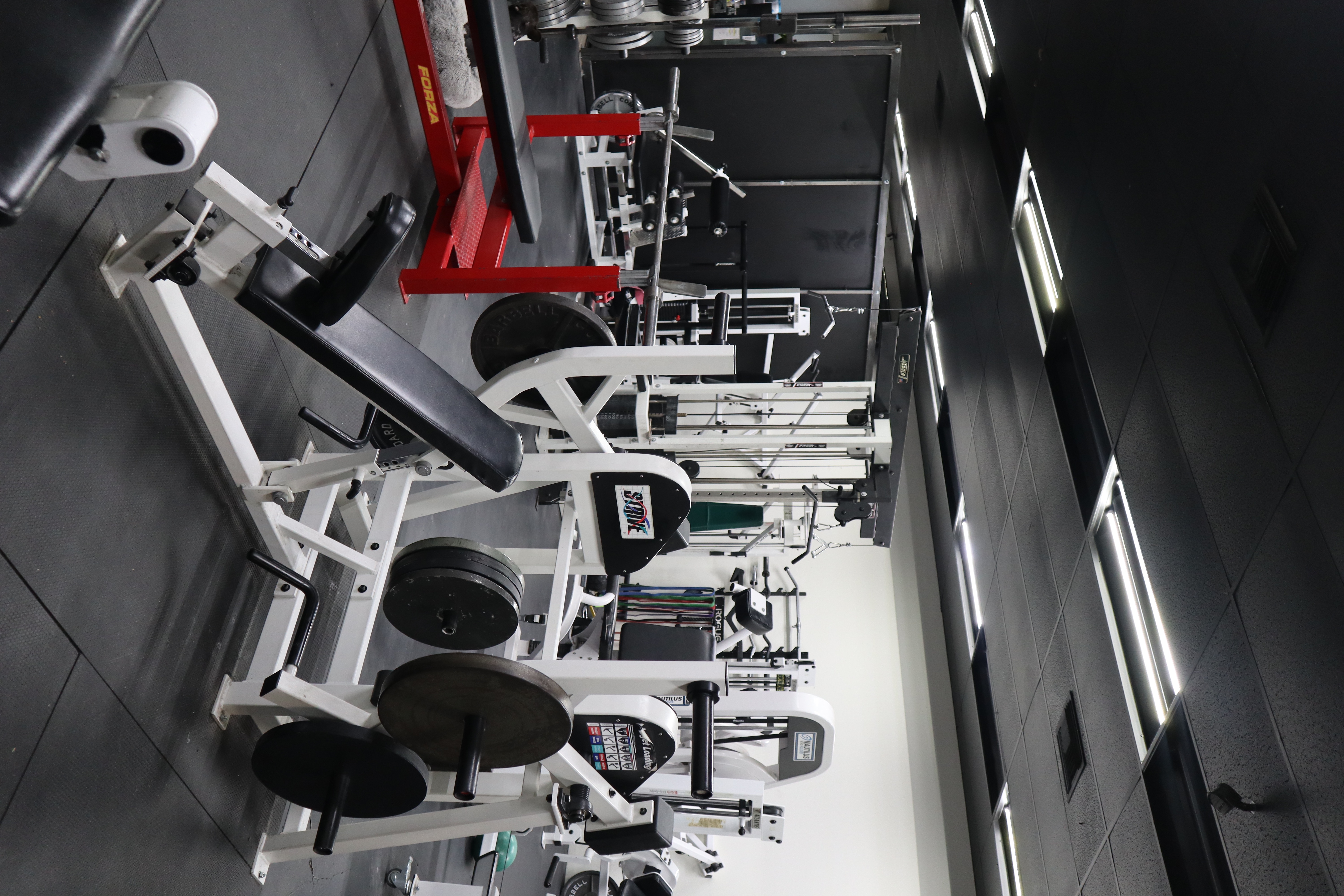 IRON JUNGLE TRAINING Facility