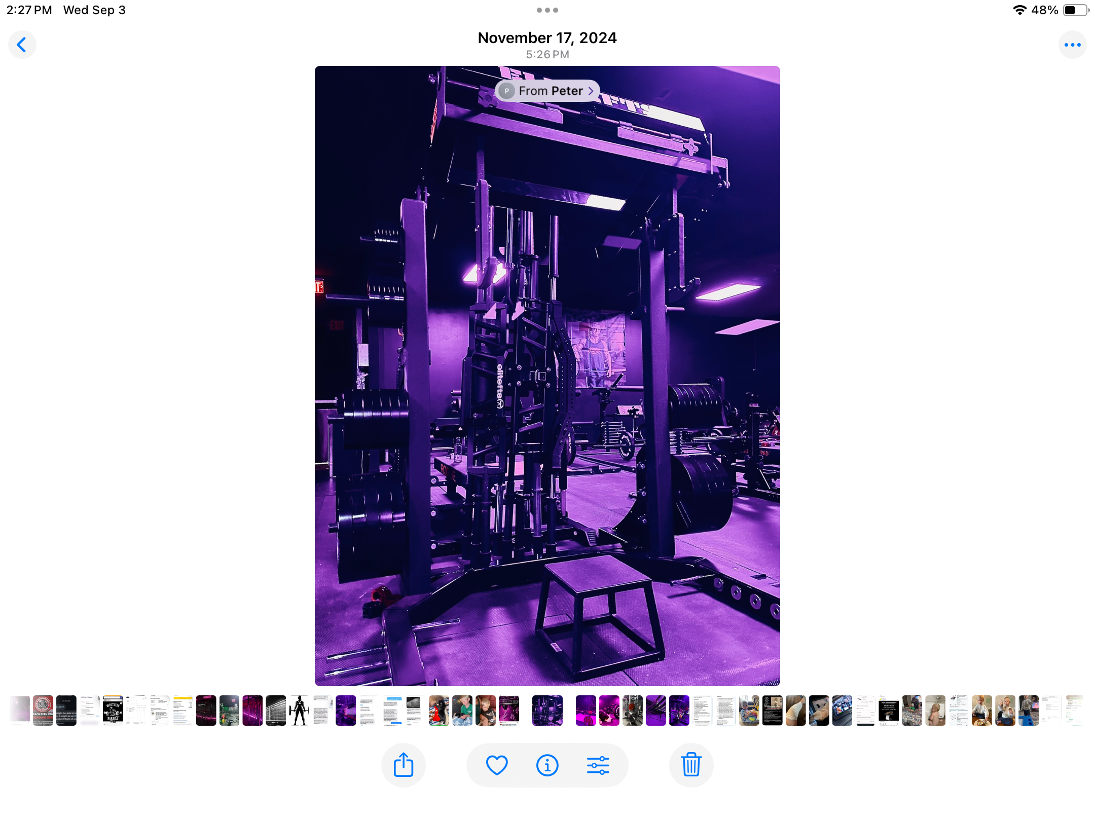 Wild Gym 