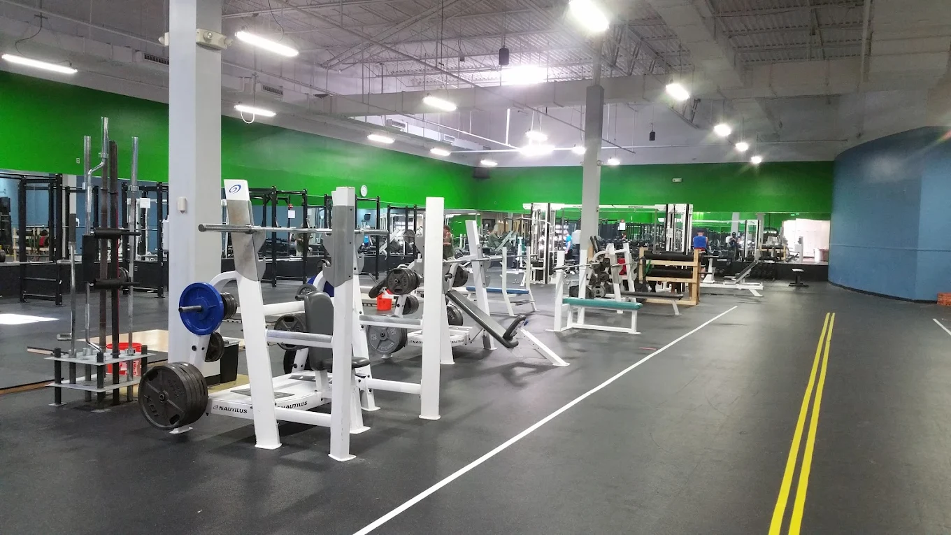 The Gym