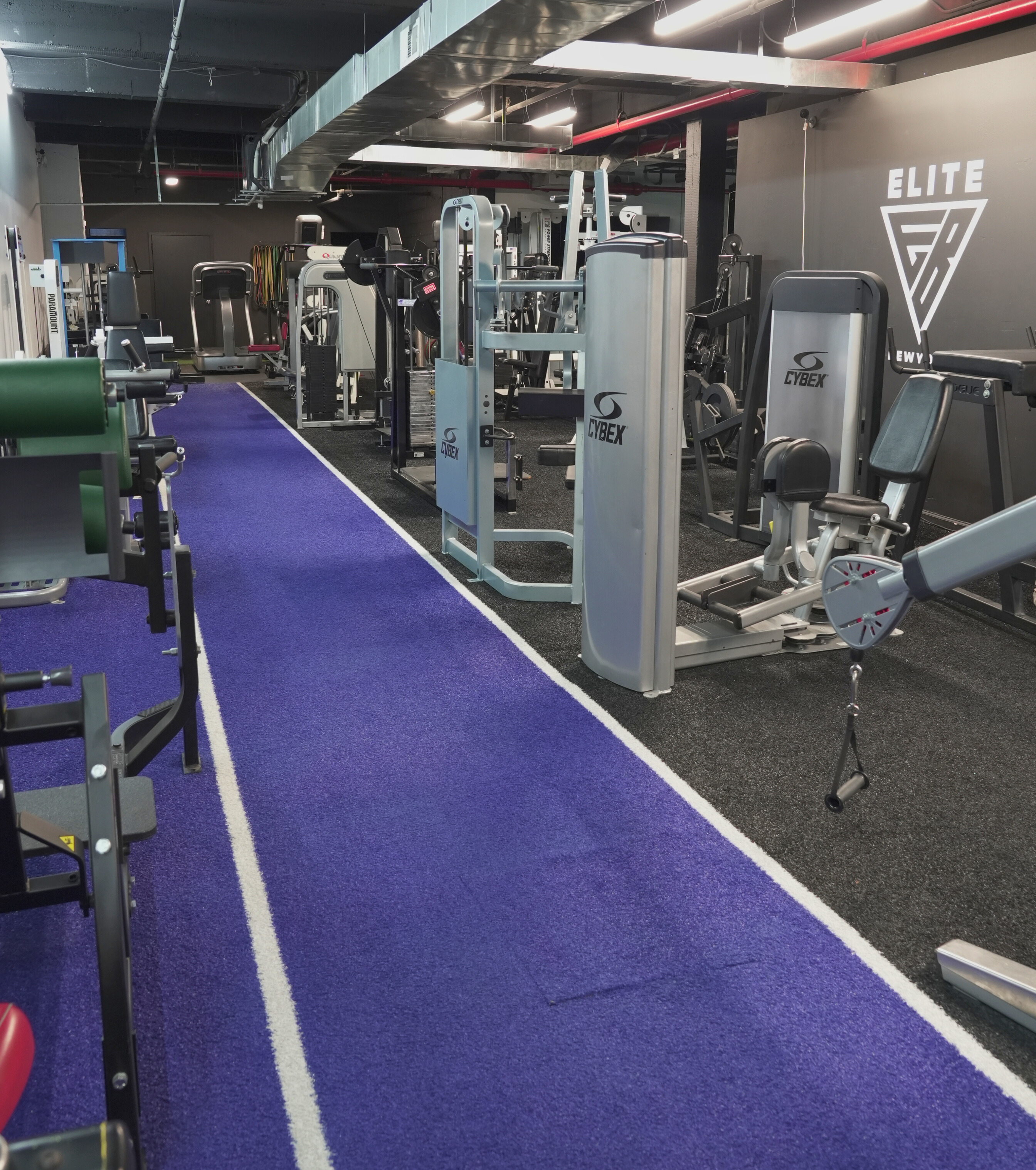 Elite Barbell NYC 