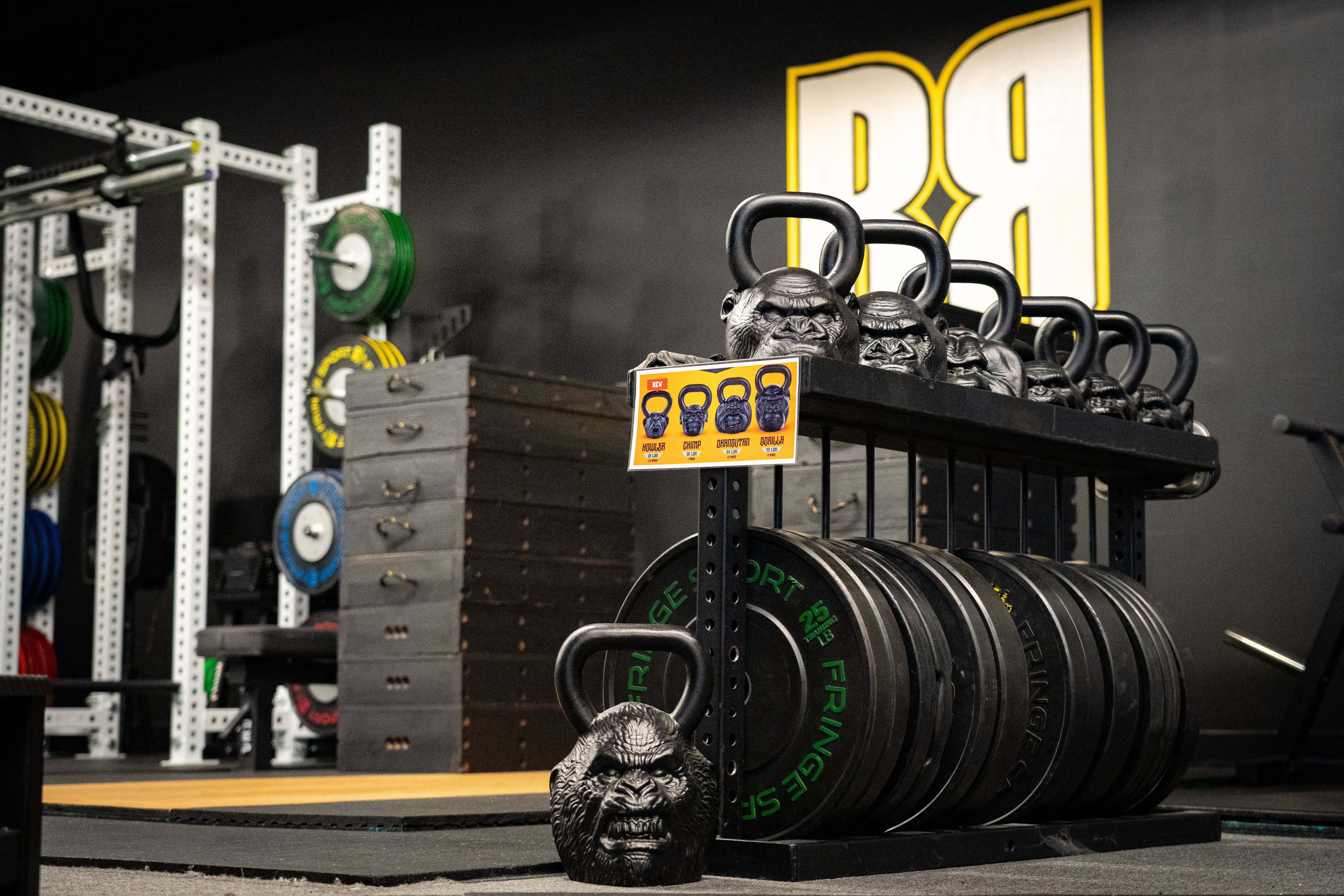 Rise & Rep Strength