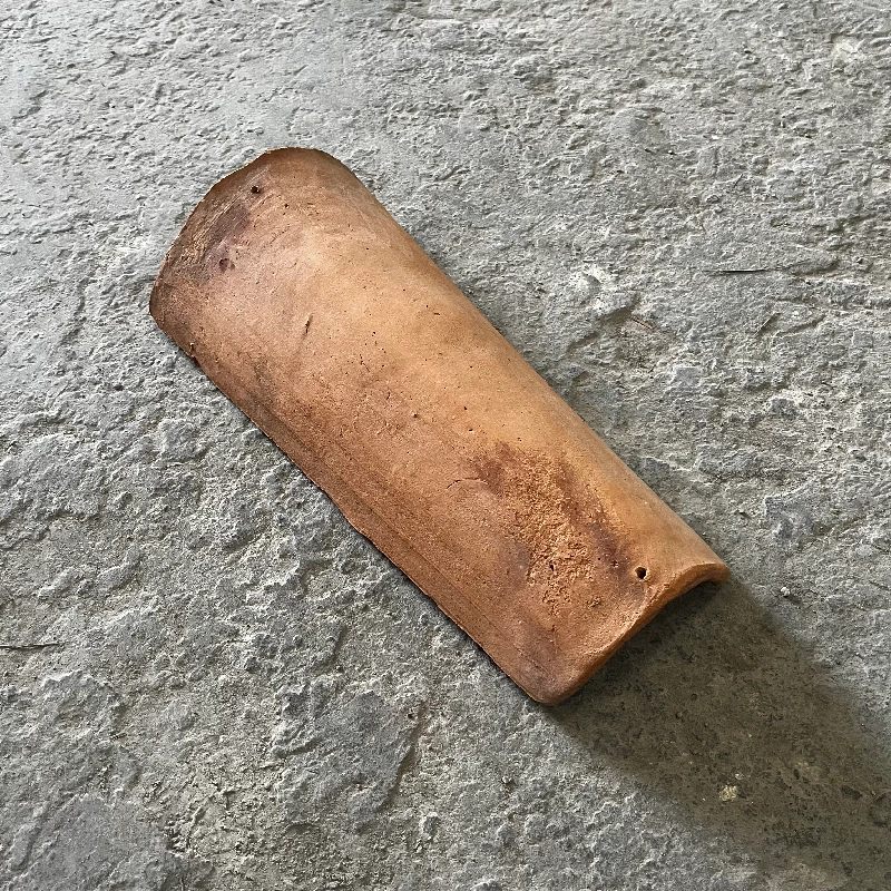 cottoTeja
