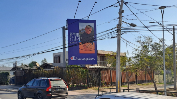 proyecto-100