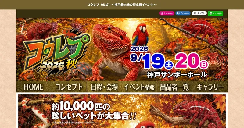 コウレプ 2026 秋