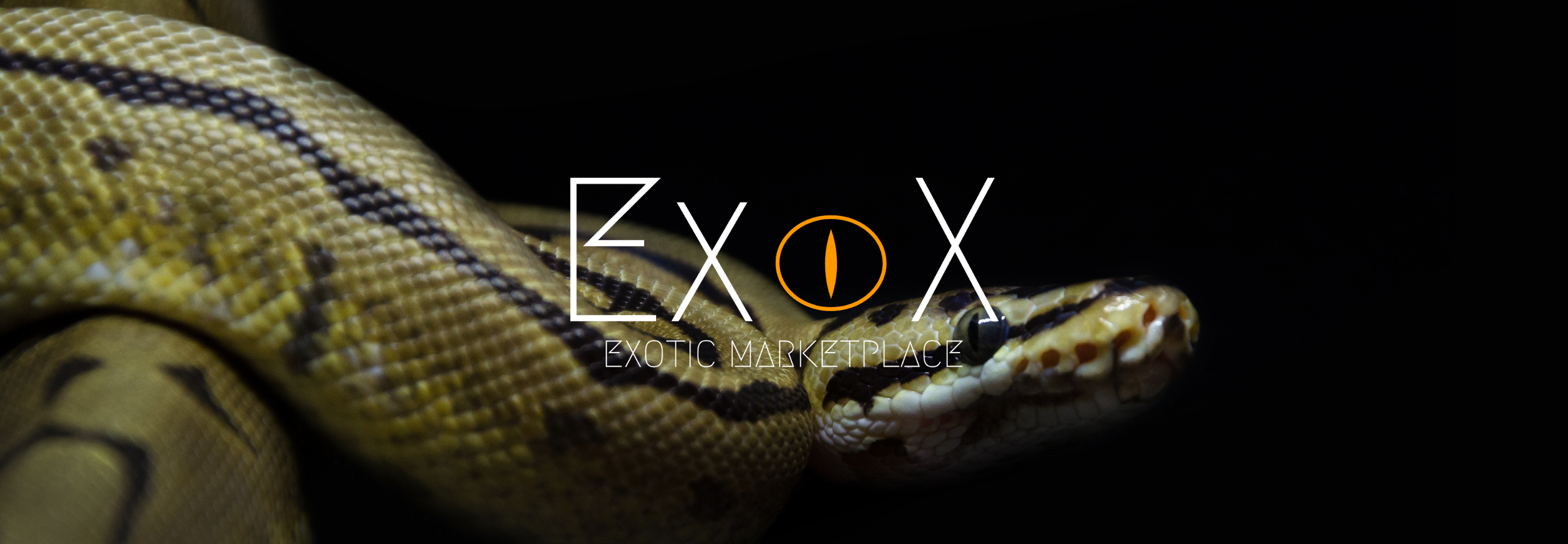 ExoX00001 banner