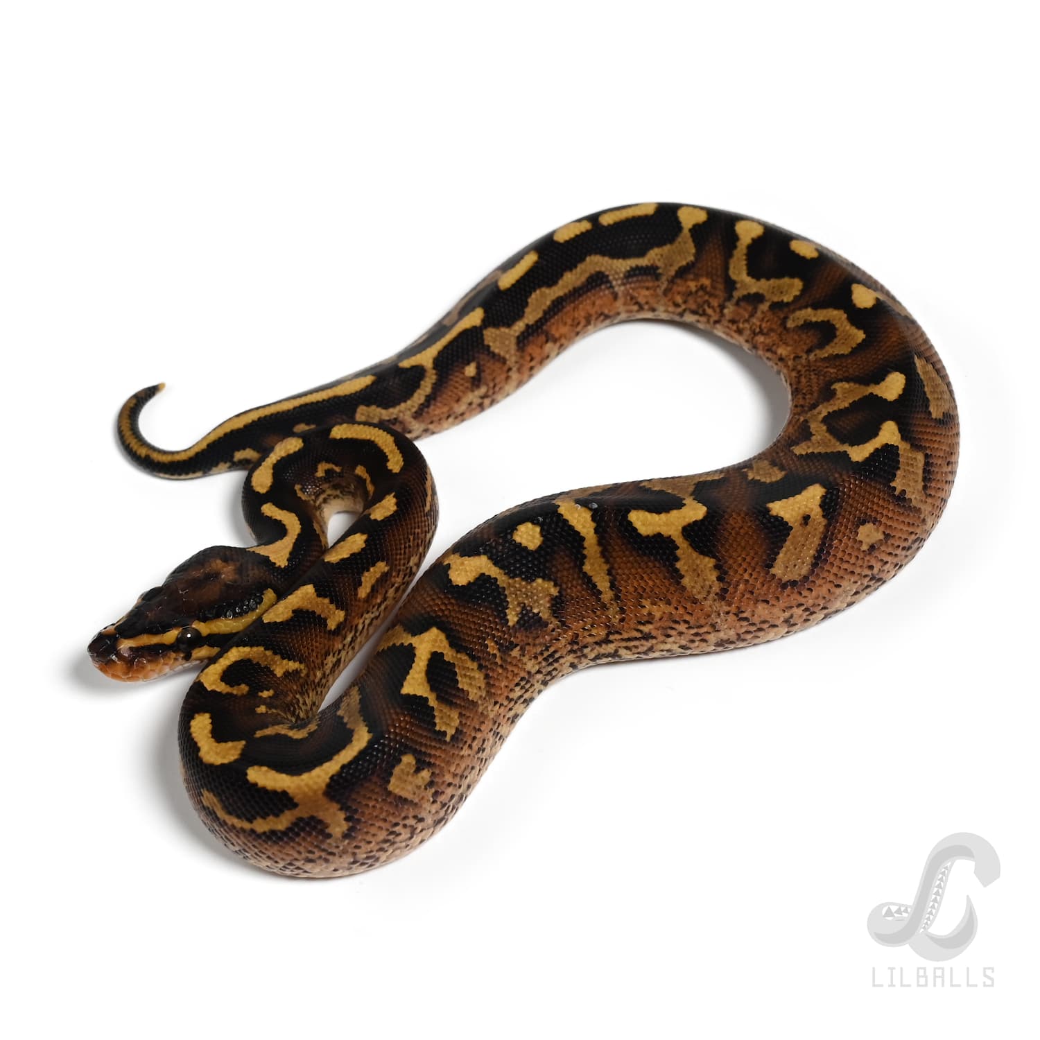 スーパーアスファルト