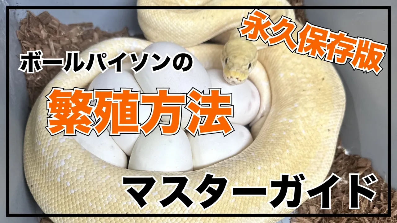 eyecatch