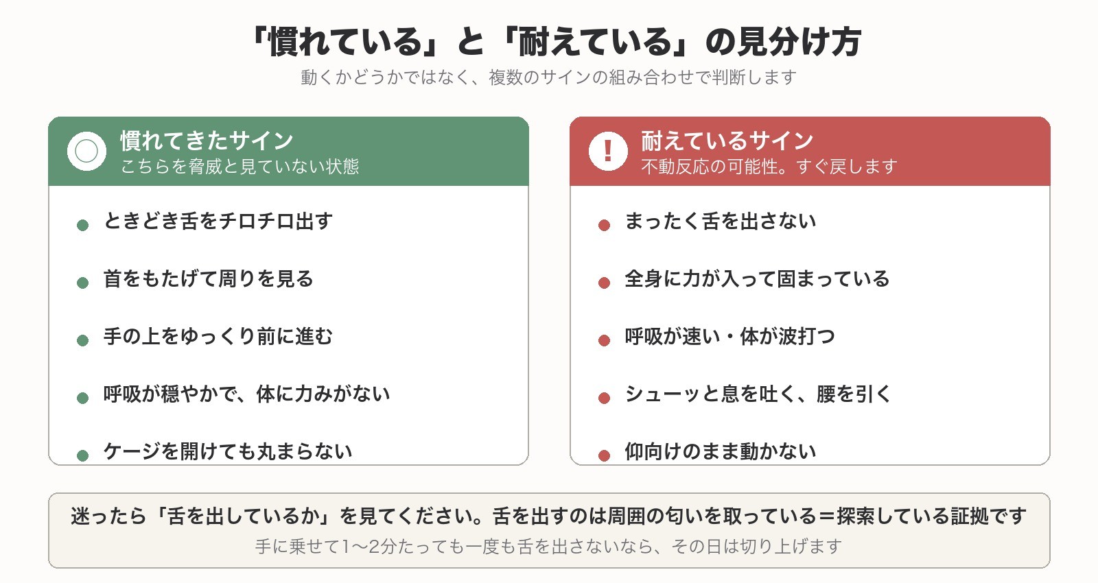 舌を出す・呼吸が穏やかなど慣れのサインと、固まる・仰向けなど不動反応のサインの対比