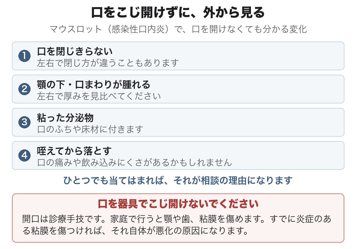 マウスロットで外から分かる5つのサイン（口を閉じきらない・顎の下の腫れ・粘った分泌物・咥えてから落とす・頭をこすりつける）と、口をこじ開けてはいけない理由を示した図