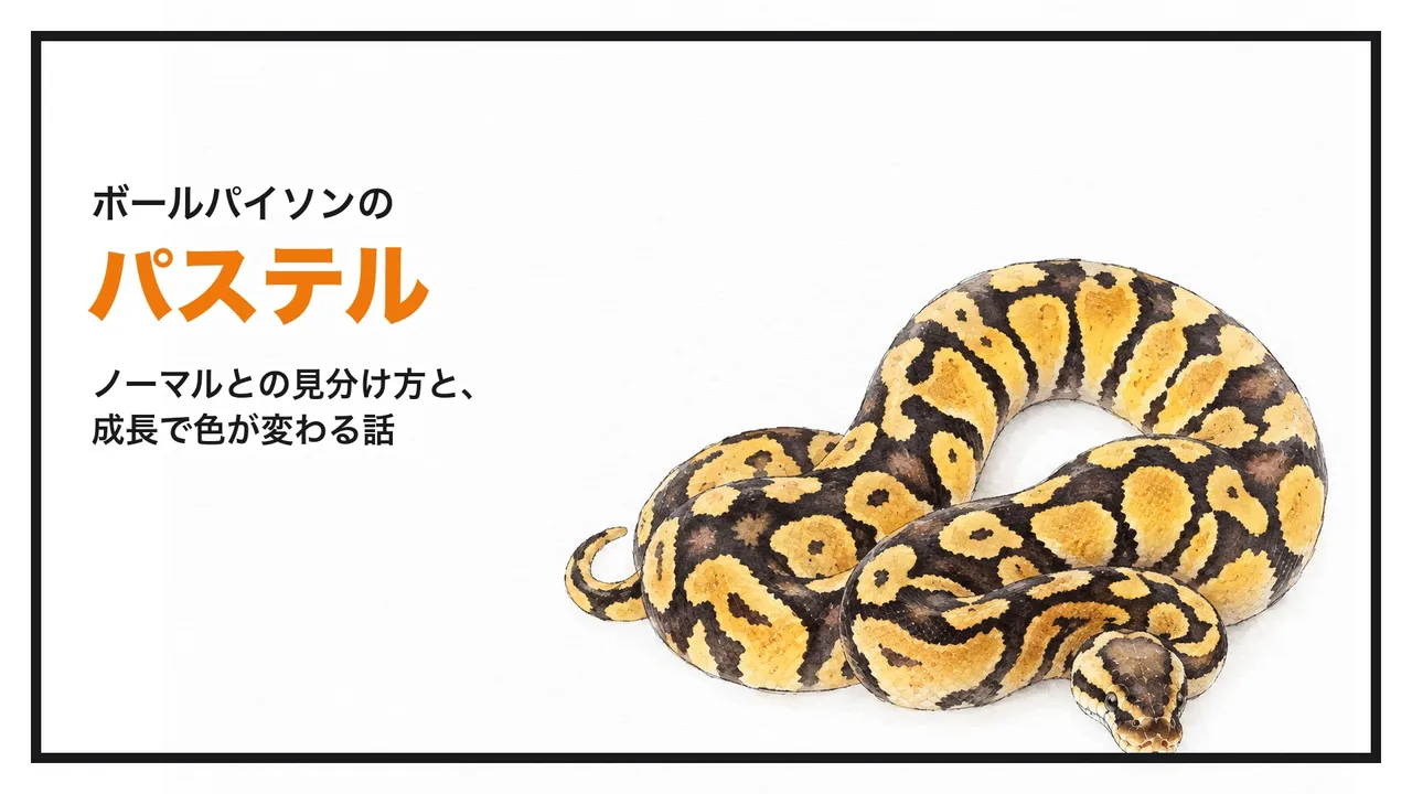 eyecatch