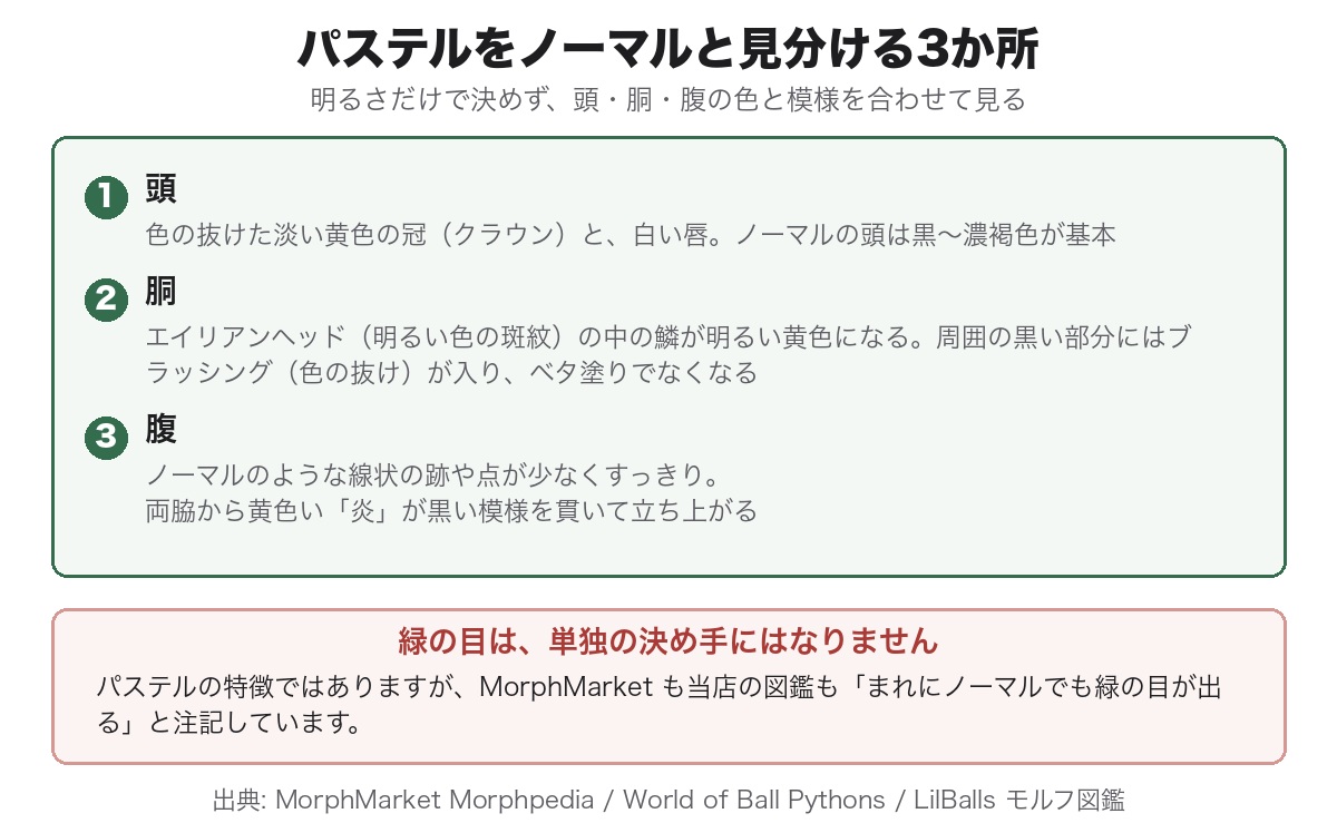 パステルをノーマルと見分ける手がかりを頭・胴・腹の3か所に分けて示した図。緑の目は単独の決め手にならないという注記つき