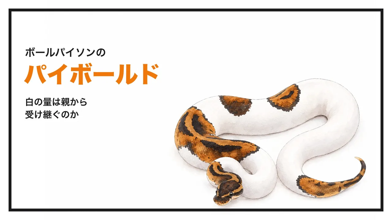 eyecatch