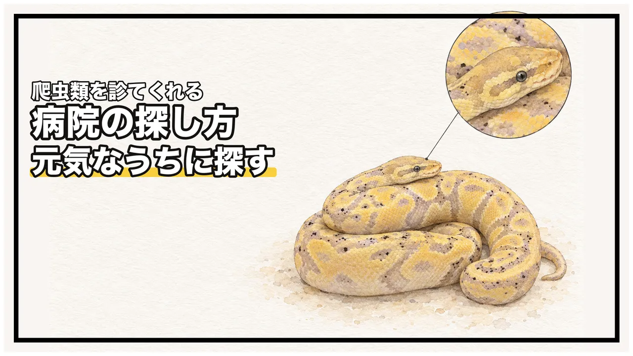 eyecatch