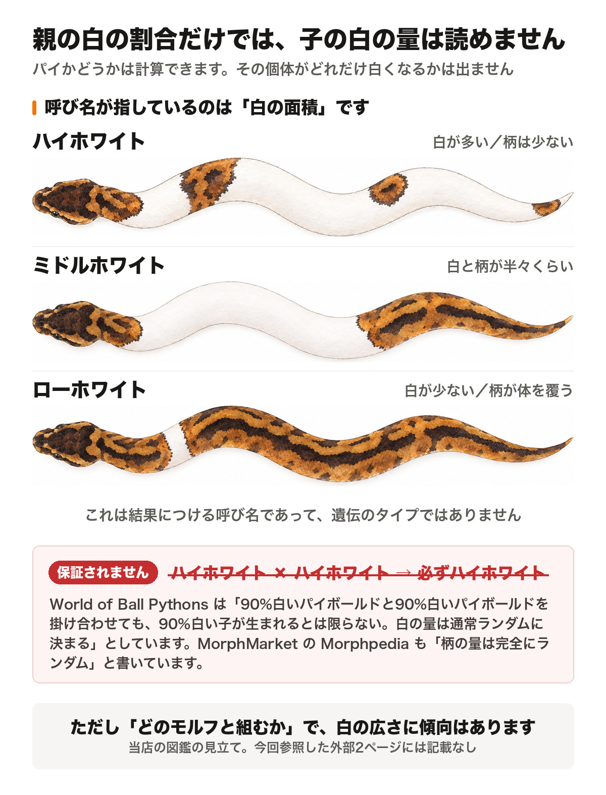 ハイホワイトのパイボールド同士を掛けても子が同じ白の量になるとは限らないこと、ハイホワイトとローホワイトはどちらも白の面積を指す呼び名であること、ただし組み合わせるモルフによって白の広さに傾向はあることを示した図